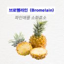 ﻿■ 브로멜라인(bromelain)의 효능 효과 및 섭취 용량 방법 이미지