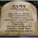 시성 39주년 제12회 손골성지 순교자 현양대회(병인박해 157주년)/직암기념상현성당 이미지