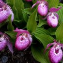 복주머니마을 이미지