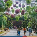 대박가든 이미지