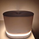 MIST | 루메나 MIST POT 사용후기, 통세척 가습기 끝판왕?