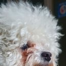 아우어패밀리 이미지