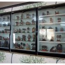 삼식이식당 이미지