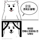 제시점핑 네이버블로그