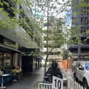 펭귄후레쉬마트 | 호주여행 멜버른 4박 7일 | Schmucks 베이글먹고 마루동물원 필립아일랜드 OK여행사 반나절 투어 하고...