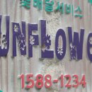 썬플라워화원
