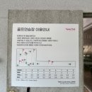 티욤 어프로치 네이버블로그