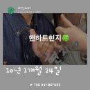 장갈애드