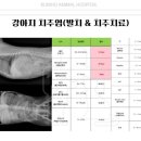 금호동물병원 이미지