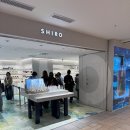 로핸 | 일본 향수 브랜드 SHIRO, 향수 좋아한다면 꼭 가봐야 할 매장