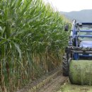 농기계임대사업소 산서분소 이미지