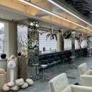 세현빌딩 | 잠실새내 미용실 온리포유 가을웜 세현디자이너 애쉬브라운 염색후기