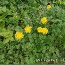 평화3리 이미지