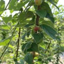 단이농장 이미지