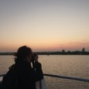 소로3-대동03 | 부산 겨울에 아이와 가볼만한곳 낙동강생태탐방선 노을투어 정보 총정리