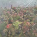 태안농장 이미지