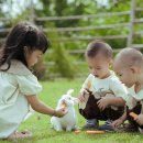 사또테마농장 | 아이와 함께하기 좋은 여행지 추천 (체험,휴식,가족)