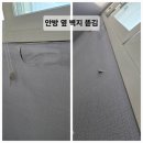 민락동전화국앞 ~ 청구아파트 | [철원입주청소] 명품ESA아파트(ft.곰팡이 제거 과정 및 비용)