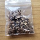 스윗바질 시나몬바질 혼합 이미지