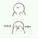 우리집고양이