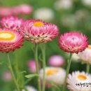 대구연합행정사사무소 이미지