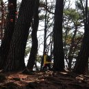 김유정문학마을 이미지