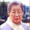 이순정 카카오 검색결과