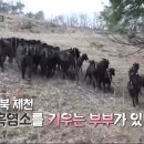 박철희농장 이미지