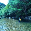 (주)아침가리 | 아침가리계곡 트레킹 후기