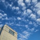 강남대로101길 39 이미지