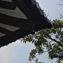 스테이더담 이서점 이미지