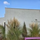 하이멍 애견카페 이미지