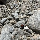 고산농협 동상지점 | 프랑스 샤모니 몽블랑 패스 전망대 등산 후기