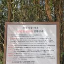 순천-79호 이미지