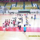 충주체육관 이미지