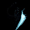 그린컴퓨터아트학원 이미지