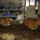 목신농장 이미지