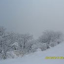 흥적이고개~몽덕산~가덕산~북배산~싸리재~계관산~싸리재마을(100213)6 이미지