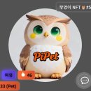 까망부엉이