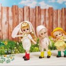 묘냥묘냥 이미지