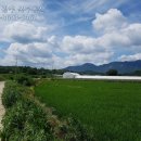 장성공인중개사사무소 이미지