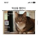 🐈2023년도 고보협 캘린더 달력 공동구매 (탁상용/벽걸이용)🐈 이미지