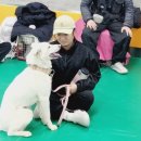 장춘당약국 | 안동과학대 반려견훈련사 3급 수업 후기｜앵동이와 함께 배우는 소통의 시간