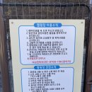 중독(DOG) 이미지