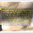 구덕산책로 숲길 Daum카페