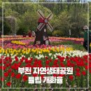자연생태공원 수목원 야외2 | 부천 자연생태공원 튤립 개화율 주차 입장료 포토존 식물원 근처맛집까지 총정리