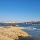 오렌지성형외과의원 이미지