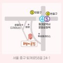 보태니컬&팝아트 이미지