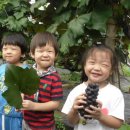 재승농장 이미지