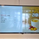 양촌애견 이미지